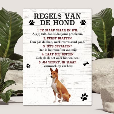 Spreuken - Basenji - Regels Van De Hond - Spreuken Bordjes - Spreukenbord - Tekstborden - Cadeau - Hondenras