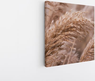 Saammp Canvas Schilderij - Pampas - Natuur - 20x20 - Foto op canvas - Wanddecoratie - Muurdecoratie Woonkamer - Kantoor Decoratie
