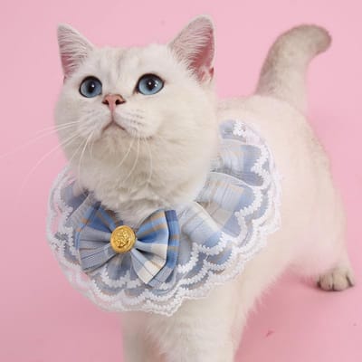 Daity Een kattenaccessoire, een halsband voor katten, geschikt voor katten en kleine honden - elegant ontwerp met kanten ruches, maat M, nekomtrek 25-30 cm, vintage stijl, geschikt voor Yorkshire Terriers, Ragdoll katten, enz. (lichtblauw)