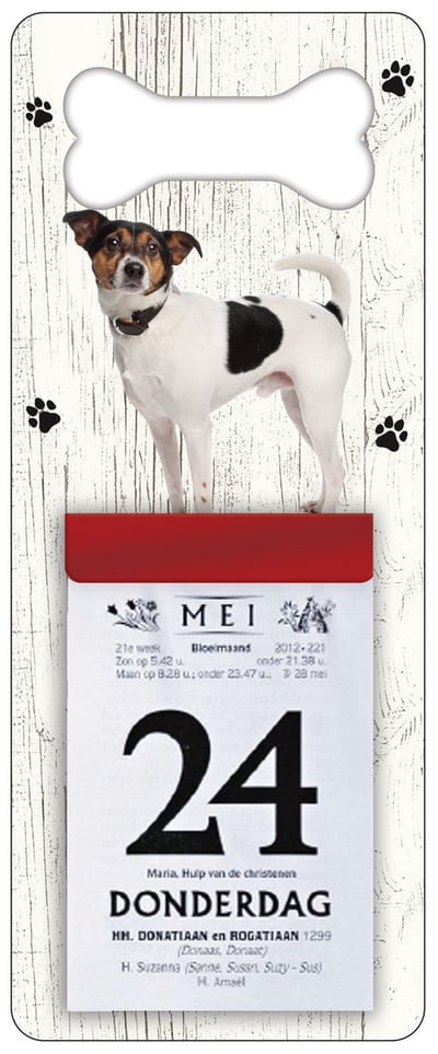 Scheurkalender 2027 Hond: Boerenfox