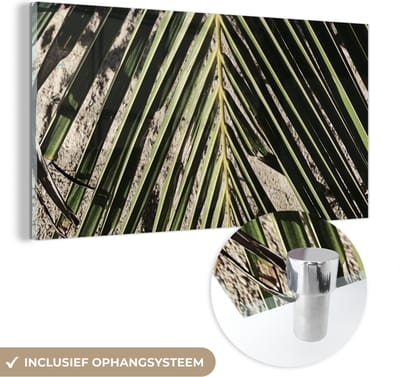 MuchoWow® Glasschilderij 120x60 cm - Schilderij acrylglas - Palmblad - Tropisch - Zomer - Foto op glas - Schilderijen