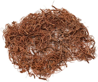 Colorations - Curly Moss 50 grams