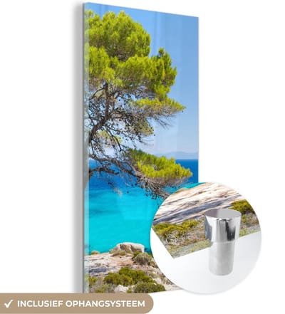MuchoWow® Glasschilderij 20x40 cm - Schilderij acrylglas - Boom - Zee - Tropisch - Zomer - Foto op glas - Schilderijen