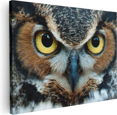 Artaza Canvas Schilderij Dierenkop Uil - 40x30 cm - Klein - Wanddecoratie Woonkamer - Muurdecoratie Vogel - Kamer Accessoires