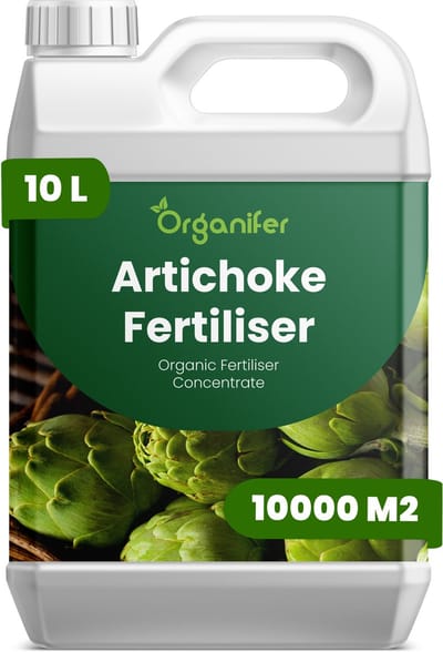 Vloeibare Meststof Voor Artisjok 10 L Voor 10000 M2 - Npk 2-1-8 - Krachtige Groei - Rechtopstaand Blad - Knopvorming - Grotere Artisjokkoppen - Sterke Plantstructuur - Efficiënt Watergebruik - Diepe Wortelgroei -Hoge Opbrengst - Organifer