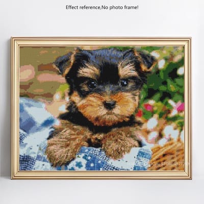 Diamant schilderij dier strass diamant borduurwerk hond kruissteek 20X30CM