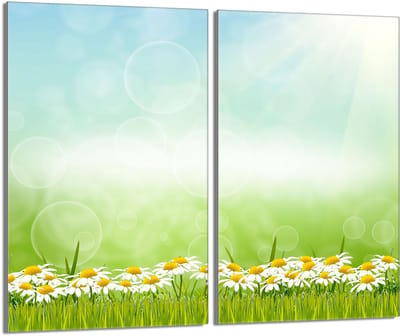 TMK ArtDeko Stokrotki - Glasplaat Beschermer - 30x52cm - Hartglas - Modern Design