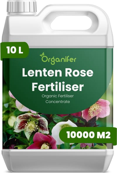 Vloeibare Meststof Voor Lentenroos 10 L Voor 10000 M2 - Npk 3-4-3 - Vroege Bloei - Langere Bloeiduur - Sterk Wortelstelsel - Kleurontwikkeling - Bladstructuur - Wintergroen - Schaduwtuinen - Jaarlijkse Bloei - Organifer
