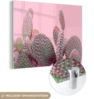 MuchoWow® Glasschilderij 40x30 cm - Schilderij acrylglas - Cactus - Planten - Zomer - Foto op glas - Schilderijen