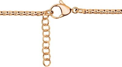 Quiges RVS Halsketting Ankerketting Roségoudkleurig 42cm (+4cm verstelbaar) - EPK099