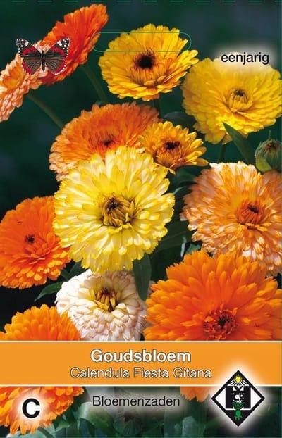 2 stuks Van Hemert & Co Calendula officinalis Fiesta Gitana