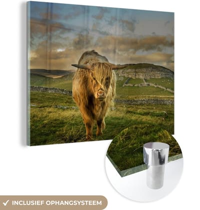 MuchoWow® Glasschilderij 160x120 cm - Schilderij acrylglas - Schotse Hooglander - Gras - Berg - Foto op glas - Schilderijen
