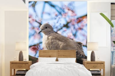 Behang - Fotobehang Vogel - Bloemen - Duif - Bloesem takken - Roze - Breedte 195 cm x hoogte 260 cm