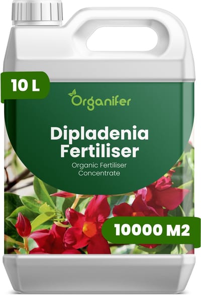 Vloeibare Meststof Voor Dipladenia 10 L Voor 10000 M2 - Npk 2-1-8 - Krachtige Groei - Trompetvormige Bloemen - Sterke Wortels - Hittebestendig - Stressbestendig - Compacte Groei - Bloemkleurintensiteit - Doorlopende Bloei - Organifer