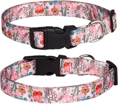 Dailygoody - Halsband voor honden - Verstelbare hondenhalsband