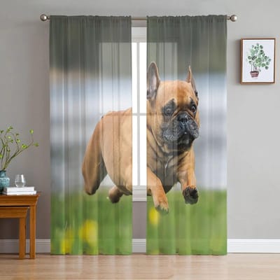 Franse Bulldog Puppy Rennen Tule Gordijn Huis Kantoor Raamdecoratie Slaapkamer Keuken Balkon Modern Transparant Gordijn 135W x 114H(cm) gray