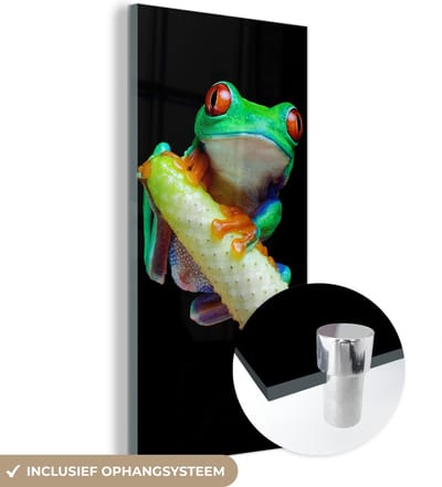 MuchoWow® Glasschilderij 60x120 cm - Schilderij acrylglas - Kikker - Dieren - Plant - Foto op glas - Schilderijen