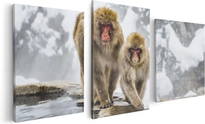 Artaza Canvas Schilderij Drieluik Twee Aapjes In De Sneeuw Op Rotsen - 120x60 - Foto Op Canvas - Canvas Print