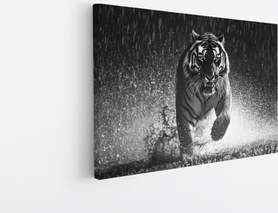Saammp Canvas Schilderij - Tijger in de regen - Natuur - Dieren - 30x20 - Foto op canvas - Wanddecoratie - muurdecoratie Woonkamer - Slaapkamer decoratie - Canvas Print