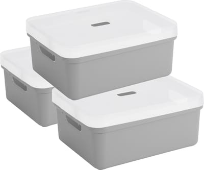 Sunware opbergbox - 3x stuks - 24 liter - lichtgrijs - kunststof - transparante deksel - 45x35x18 cm - Sigma serie