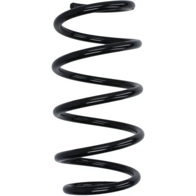 Chassisveer MAGNUM TECHNOLOGY SR181