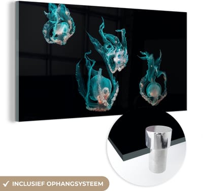 MuchoWow® Glasschilderij 40x20 cm - Schilderij acrylglas - Kwal - Zeedieren - Zwart - Foto op glas - Schilderijen