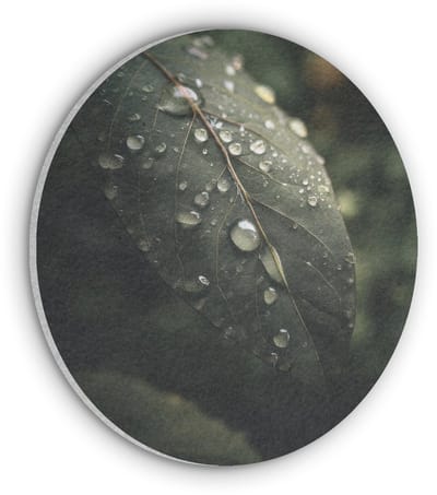 Akoestisch wandpaneel rond 50x50 cm - Vilt schilderij Blad - Groen - Nerven - Regendruppels - Ronde akoestische panelen - Geluidsdempende wanddecoratie - Geluidsisolatie wandcirkel - Muurdecoratie geluidspanelen