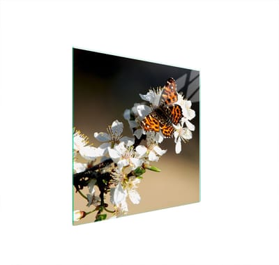 TMK ArtDeko - Glazen Beschermplaat - 50x52 cm - Snijplank - Fornuisscherm - Geharde Glasplaat