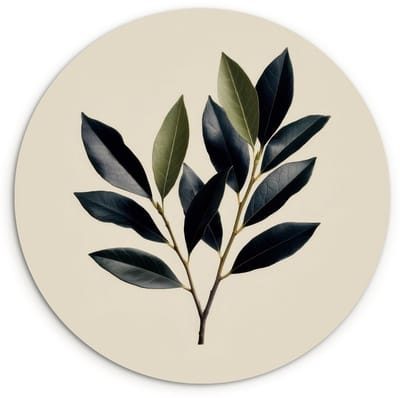 WallCircle® Wandcirkel 120x120 cm - Muurcirkel Ovaal - Olijfgroen - Simpel - Muurdecoratie woonkamer - Wanddecoratie slaapkamer - Kamer decoratie accessoires - Ronde schilderijen XXL