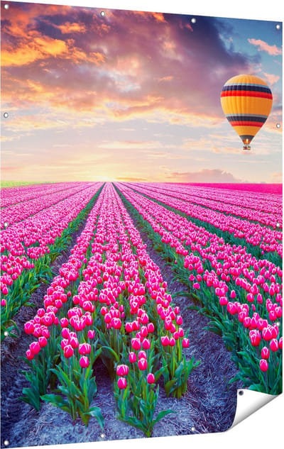 Gards Tuinposter Bloemenveld met Roze Tulpen - Luchtballon - 120x160 cm - Tuindoek - Tuindecoratie - Wanddecoratie buiten - Tuinschilderij