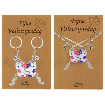 Koppel Ketting + Sleutelhanger voor 2 'Fijne Valentijnsdag' - Magnetische Katjes - Bundel op Cadeau Kaartje - Zilverkleurig - Vriendschap of Relatie Symbool - Pax Amare