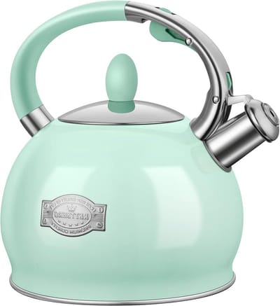 Theewaterkoker Kookplaat - Theepot RVS - Thee Zetten - Met Fluitje - 2.5 Liter - Mint Groen