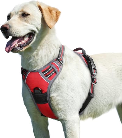 Hondentuig No Pull, Hondenharnas voor Middelgrote Honden, Verstelbare Harnas Hond met Reflecterend Strepen, Gewatteerd Zacht Ademend, Hondentuigje Anti-trek voor Wandelen Training, Rood M
