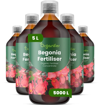 Vloeibare Meststof Voor Begonia 5X1 L Voor 5000 L - Npk 2-1-8 - Krachtige Groei - Weelderig Blad - Levendige Bloemen - Sterke Wortelontwikkeling - Bladkleur - Plantvitaliteit - Zachte Nutriëntenopname - Organifer