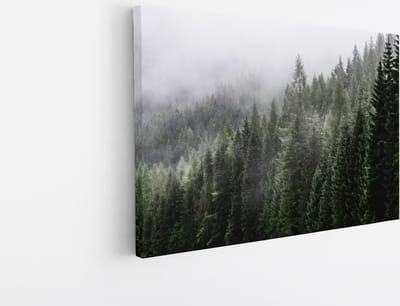 Saammp Canvas Schilderij - Naaldbomen tussen de mist - Landschap - Natuur - 30x20 - Foto op canvas - Wanddecoratie - Muurdecoratie Woonkamer - Slaapkamer decoratie - Canvas Print