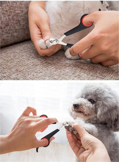 Professionele Katten Nagelknippers en Trimmers - Veilige Nagelverzorging voor Actieve Katten - Ideaal voor Grooming en Verzorging van Kittens