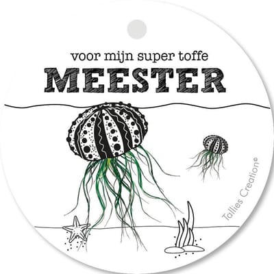 Tallies Cards - kadokaartjes  - bloemenkaartjes - Meester - Plant - set van 5 kaarten - bedankkaart - bedankt - 100% Duurzaam