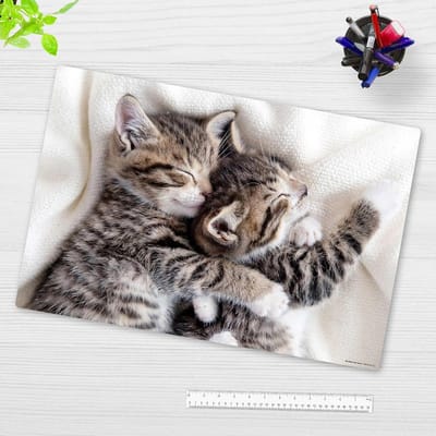 Bureauonderlegger Kittens - Afwasbaar en Duurzaam - 1 Stuk - Hoogwaardig Vinyl - 60 x 40 cm