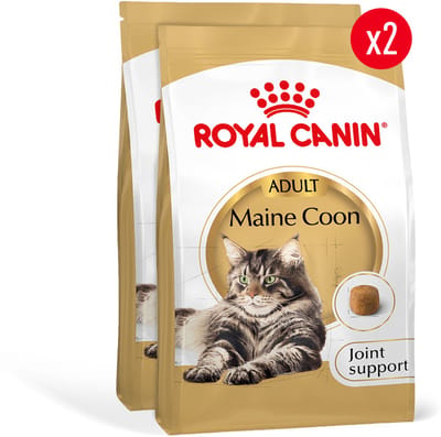 Royal Canin Maine Coon Adult - Kattenvoer - 2 x 4kg - Volwassen Maine Coon