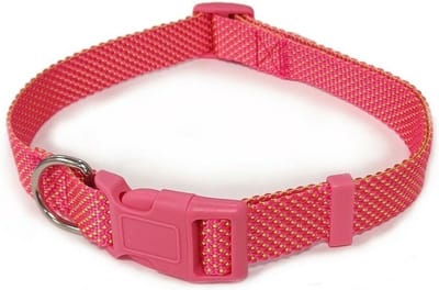 Nobleza puppyhalsbandje roze - klikhalsband hond - Roze hondenhalsband - fluorescerende puppyhalsband - halsband puppy 20-30 cm - Verstelbaar 20 / 30 cm