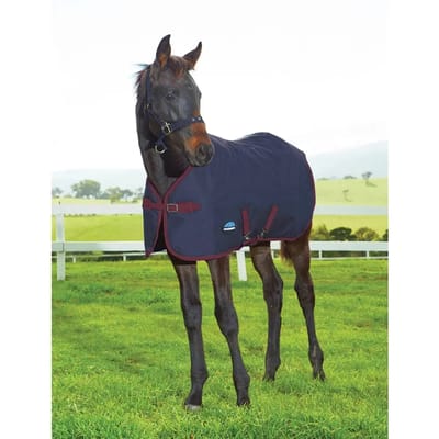 Outdoor paardendeken Weatherbeeta 220 g