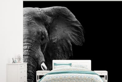 Behang - Fotobehang Dieren - Olifant - Wild - Zwart - Wit - Breedte 375 cm x hoogte 300 cm