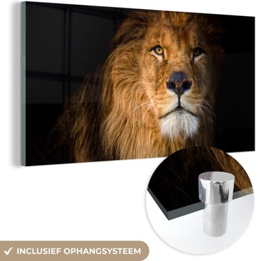 MuchoWow® Glasschilderij 40x20 cm - Schilderij acrylglas - Leeuw - Licht - Zwart - Portret - Foto op glas - Schilderijen