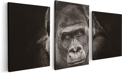 Artaza Canvas Schilderij Drieluik Gorilla - Zwart Wit - 120x60 - Foto Op Canvas - Canvas Print