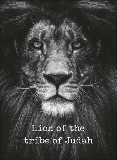 MajesticAlly metalen wandbord | A3-formaat | Lion of the tribe of judah | Metal Deco | Christelijke decoratie | Cadeau
