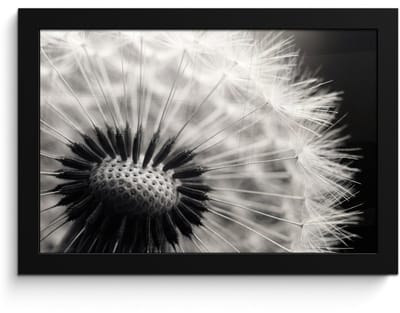 Poster in lijst - Fotolijst 30x20 cm - Posters - Paardenbloem - Zwart - Wit - Posterlijst zwart - Decoratie - Wanddecoratie woonkamer - Muurdecoratie slaapkamer