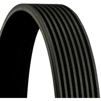 V-ribbelriem Continental CTAM 8PK1646