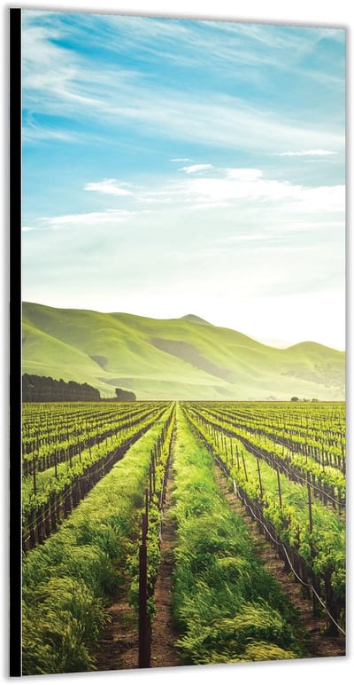 Dibond –Landbouwgrond met Bergen– 100x200cm Foto op Aluminium (Met Ophangsysteem)