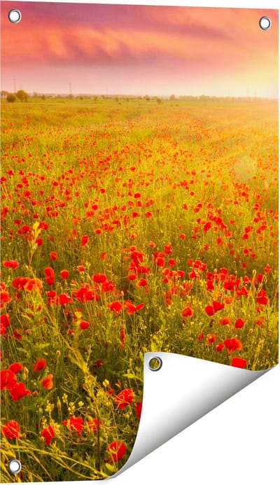 Gards Tuinposter Rode Klaproos Bloemenveld - Zonsondergang - 40x60 cm - Tuindoek - Tuindecoratie - Wanddecoratie buiten - Tuinschilderij