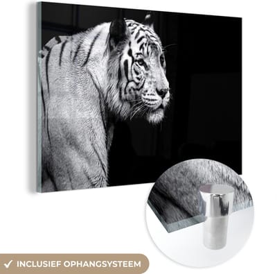 Glasschilderij - Foto op glas - Schilderij glas - Slaapkamer - Woondecoratie - Dieren - Tijger - Wilde dieren - Licht - Muurdecoratie - Woonkamer decoratie - Keukendecoratie - 120x80 cm